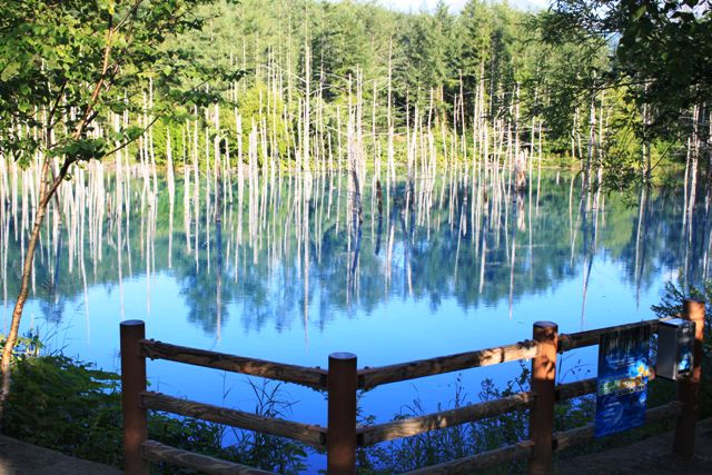 北海道の青い池